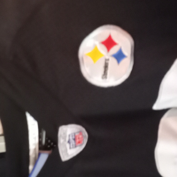 Casey Hampton game worn jersey, incredible - Picture 3 of 4